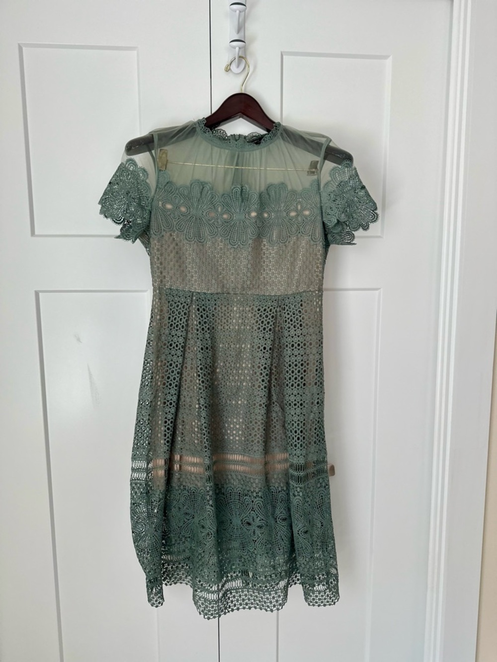 Romeo & Juliet Couture Women's Lace Fit & Flare Dress in Sage Green‎ M